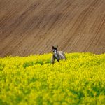 Psycholog: Funkcja, Asysta i Konsultacje w Trudnych Momentach